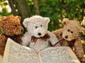 Peli Pehmoinen Three Teddy Jigsaw  verkossa