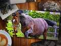 Peli Jigsaw Puzzle Horses Edition verkossa