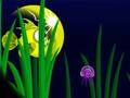 Peli Flash Fish Freddie verkossa