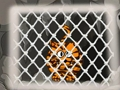 Peli Tiger paeta 1 verkossa