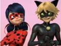 Peli Ihmeellinen leppäkerttu & Cat Noir palapeli  verkossa