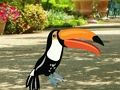 Peli Etsi Woodpecker Pari  verkossa