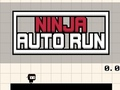 Peli Ninja -automaattinen ajo verkossa