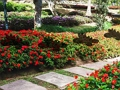 Peli Leaf Farm Garden -pako verkossa