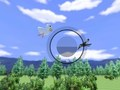 Peli Wii Sports -lintujen tarkkailu  verkossa