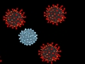 Peli Tapa Virus  verkossa