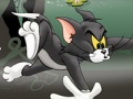 Peli Tom ja Jerry Chase suossa  verkossa