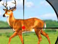 Peli Wild Hunt Metsästyspelit 3D  verkossa