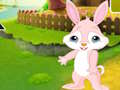 Peli Etsi Buddy Rabbit  verkossa