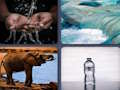 Peli Word Pictureer verkossa