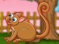 Peli Suloinen Tarsier-pako  verkossa