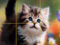 Peli Puzzle liukuvat kissanpennut  verkossa