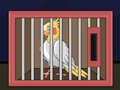Peli Vapauta Cockatiel Bird  verkossa