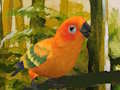 Peli Söpö Budgie-palapeli  verkossa
