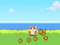 Peli Hamster Kombat Clicker verkossa