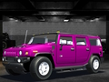 Peli Wild Race Master 3D verkossa