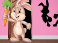 Peli Etsi Bunny Hopkin  verkossa