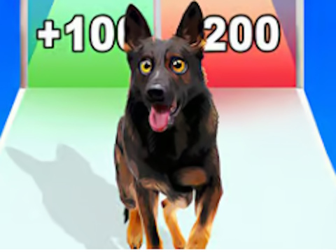 Peli Koiran evoluutio -ajo verkossa