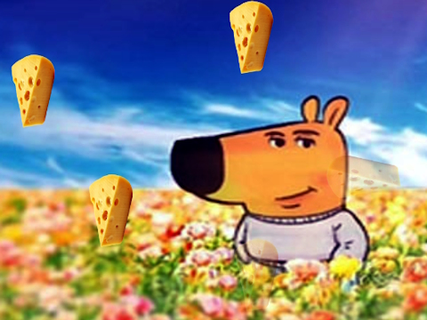 Peli Viileä chill kaveri piilotettu juusto  verkossa