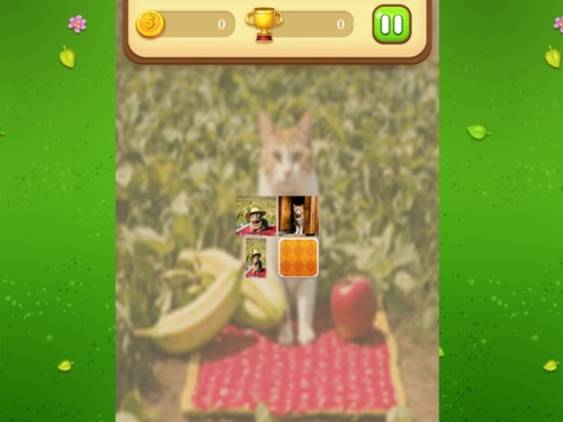 Peli Farm Cat Memory Match verkossa
