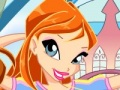 Peli Winx Club -muoti: Bloom vs Flora  verkossa