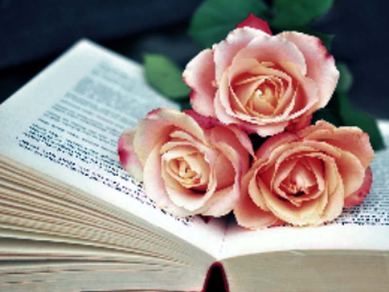 Peli Book of Blooms -peli verkossa