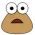 Pou verkossa